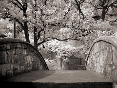 San Antonio Riverwalk 3